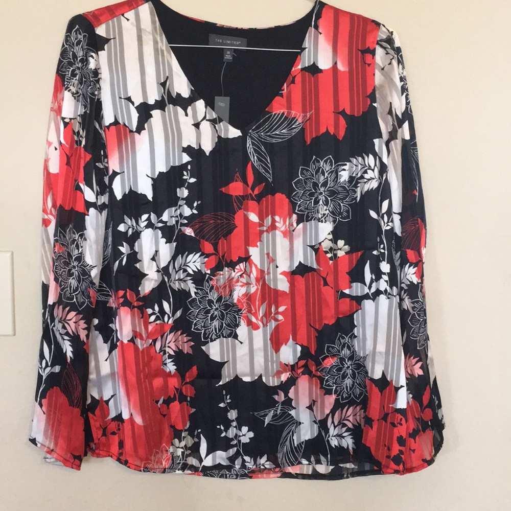 The Limited female top